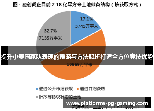 提升小麦国家队表现的策略与方法解析打造全方位竞技优势