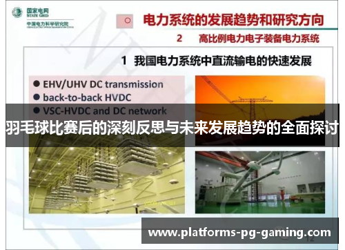 羽毛球比赛后的深刻反思与未来发展趋势的全面探讨