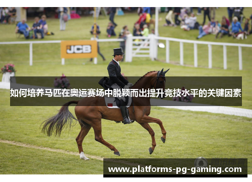 如何培养马匹在奥运赛场中脱颖而出提升竞技水平的关键因素