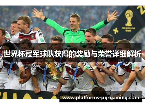世界杯冠军球队获得的奖励与荣誉详细解析