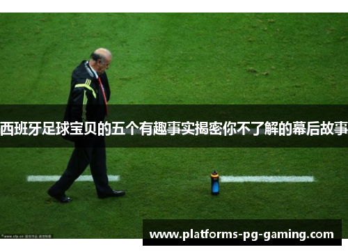 西班牙足球宝贝的五个有趣事实揭密你不了解的幕后故事