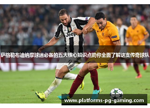 萨格勒布迪纳摩球迷必备的五大核心知识点助你全面了解这支传奇球队