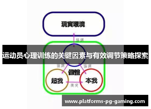 运动员心理训练的关键因素与有效调节策略探索